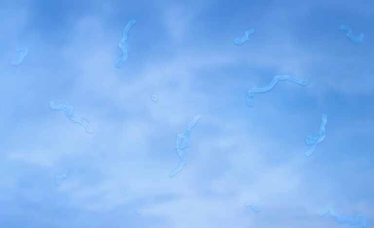 eye floaters